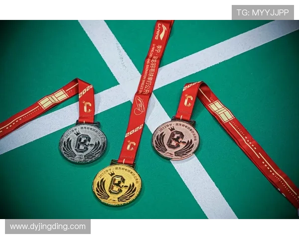 赛后分析：西安羽毛球队与南京羽毛球队的战术对决全景回顾